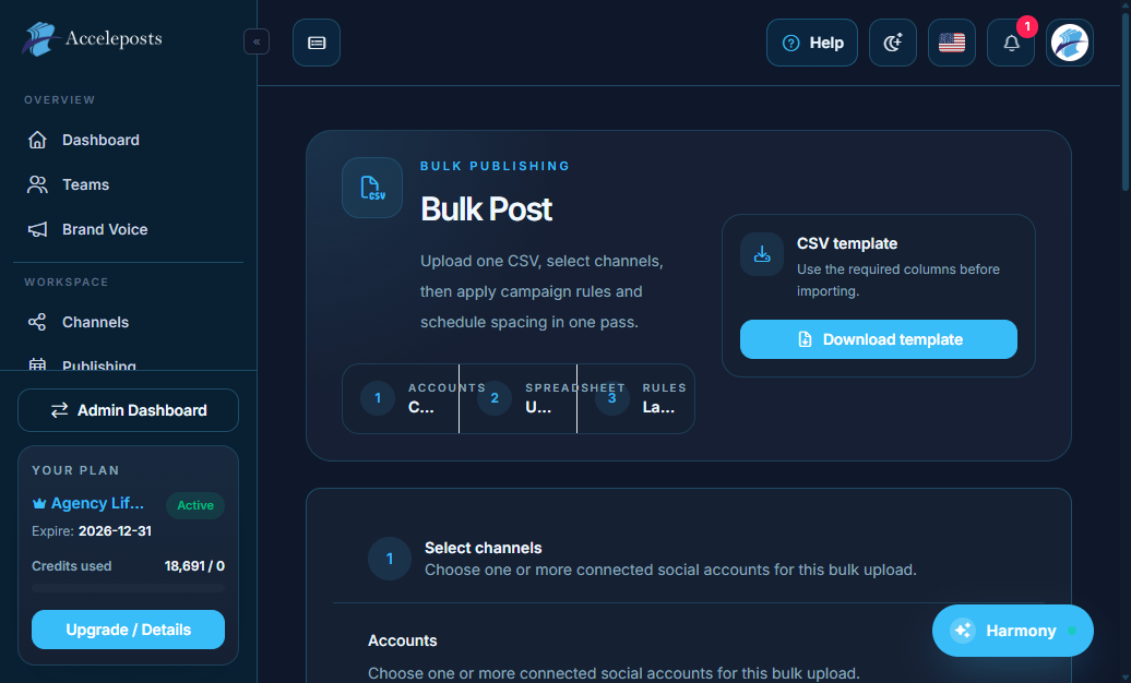 Bulk Post screen showing the Accounts, Spreadsheet, and Rules steps